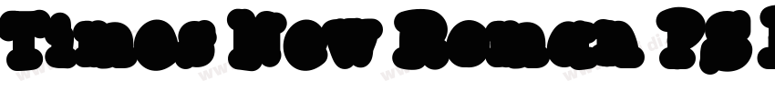 Times New Roman PS B字体转换
